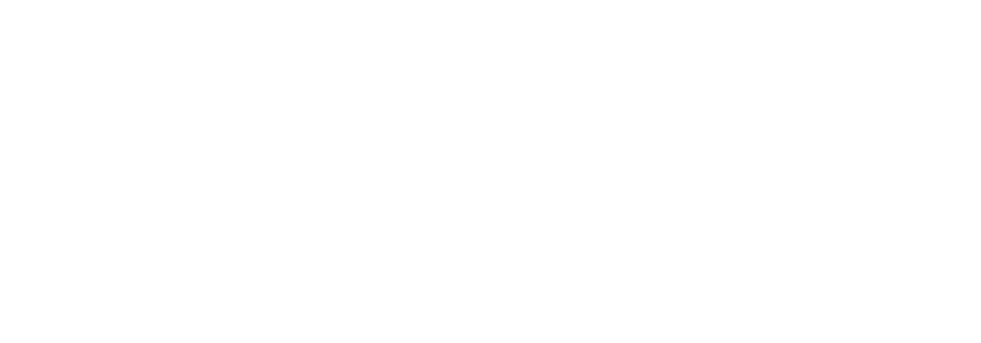 BLACK SYSTEM